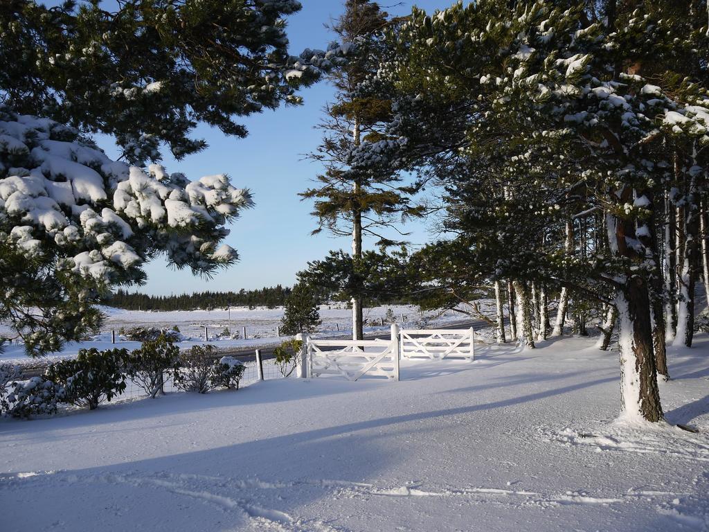 Bed and Breakfast Dava School House Grantown-on-Spey Zewnętrze zdjęcie