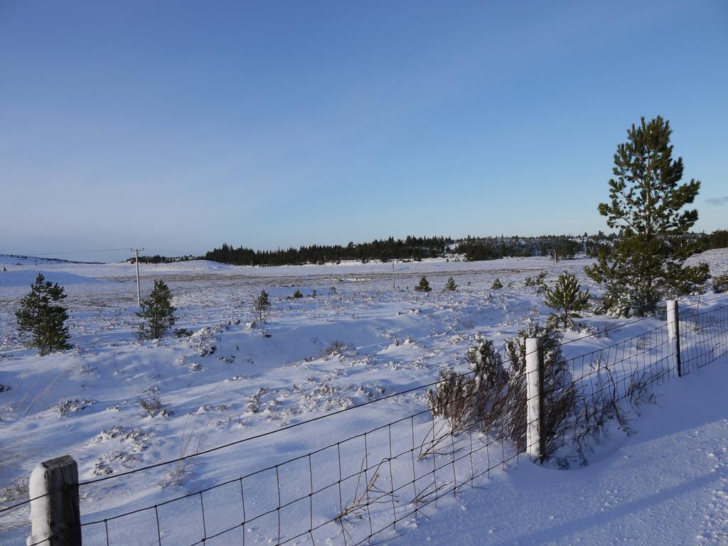 Bed and Breakfast Dava School House Grantown-on-Spey Zewnętrze zdjęcie